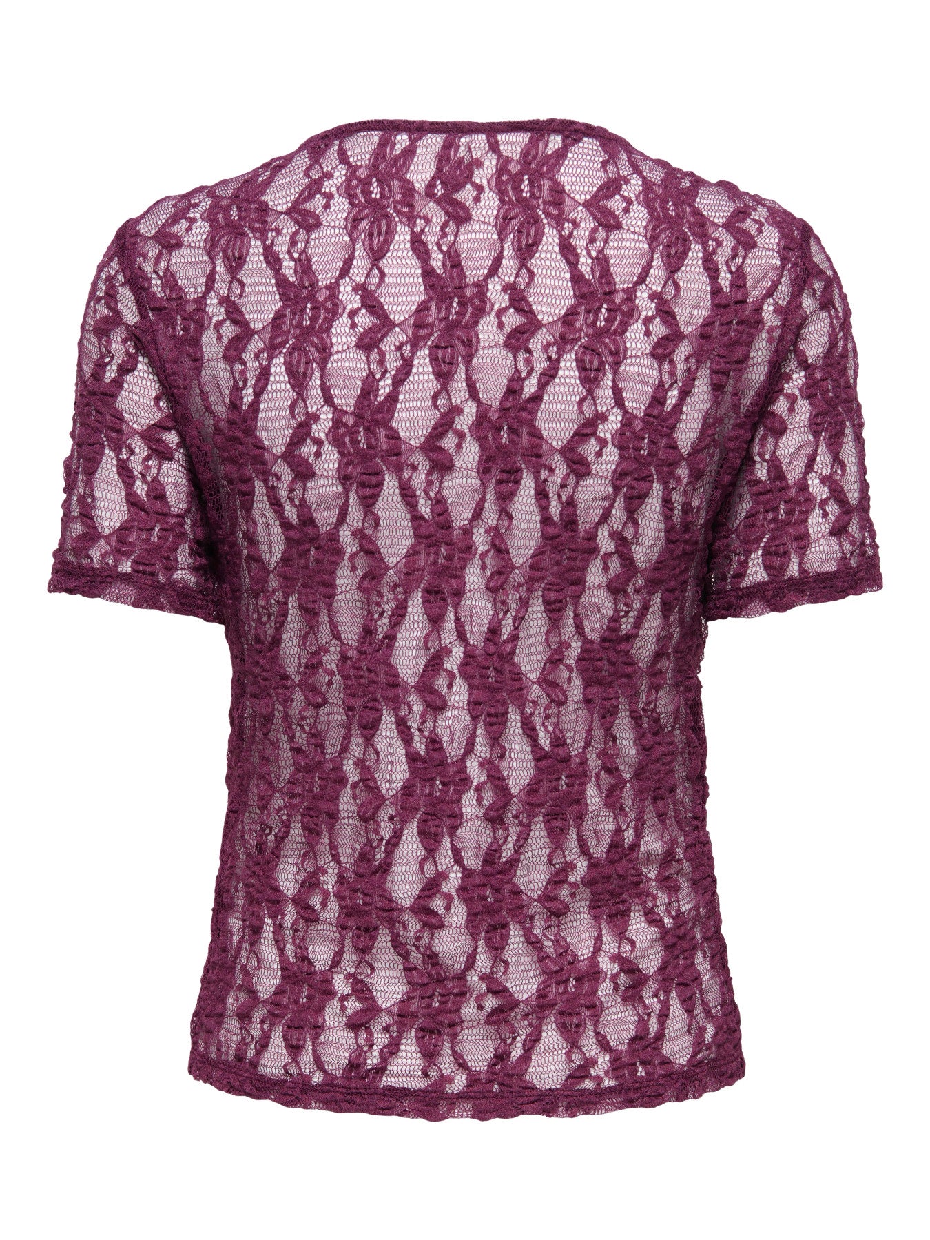 ONLY ALBA S/S LACE TOP CS JRS FIG